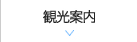 観光案内