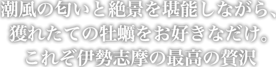美味しい浦村牡蠣を鳥羽の綺麗な海で、丁寧に丹精込めて育てています。